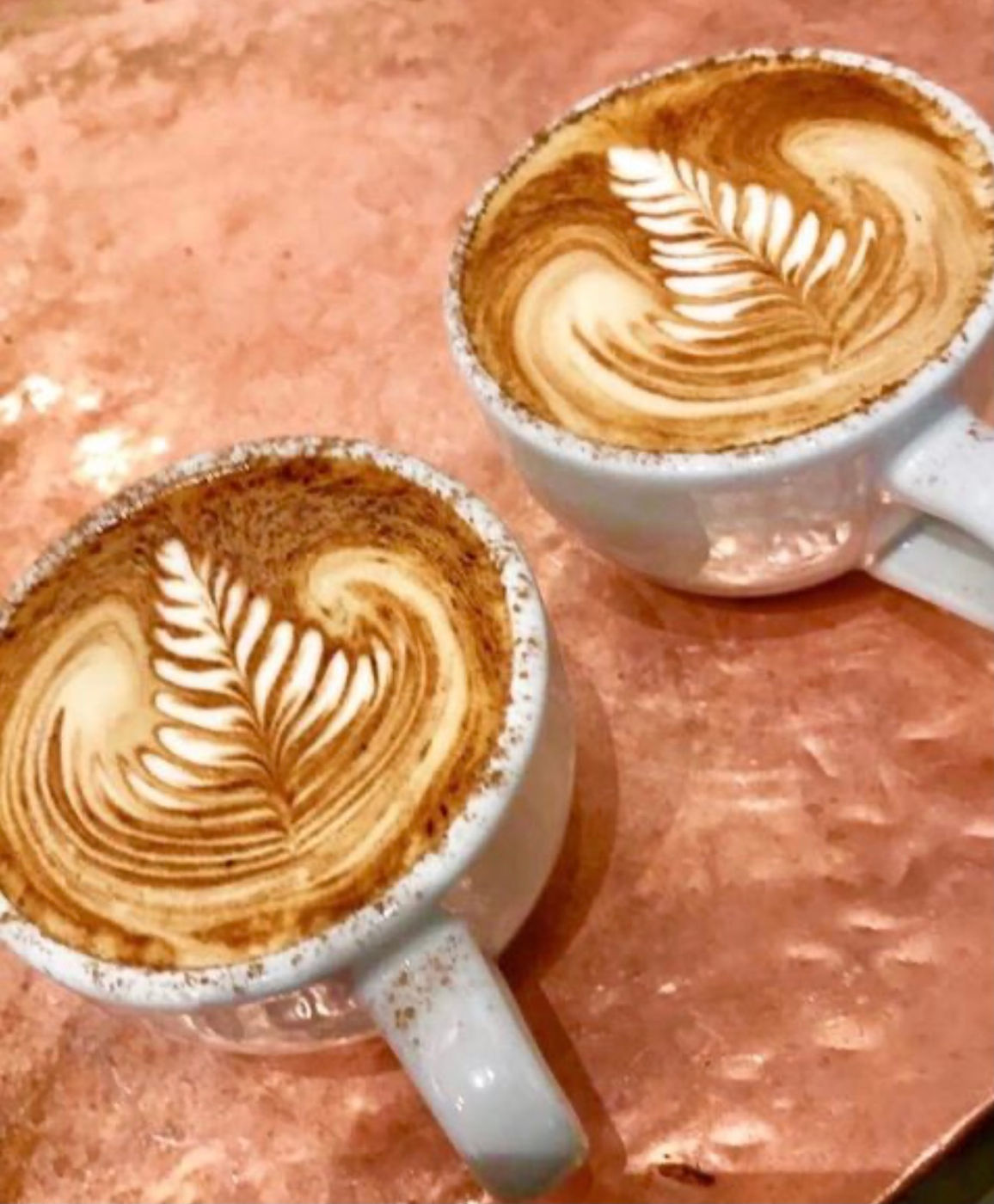 Two lattes with fern latte art